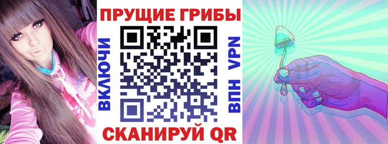 darknet официальный сайт цена наркотик Бердск Псилоцибиновые грибы мухоморы